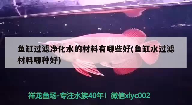 魚缸過濾凈化水的材料有哪些好(魚缸水過濾材料哪種好) 印尼紅龍魚