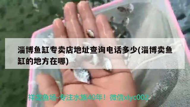 淄博魚缸專賣店地址查詢電話多少(淄博賣魚缸的地方在哪)