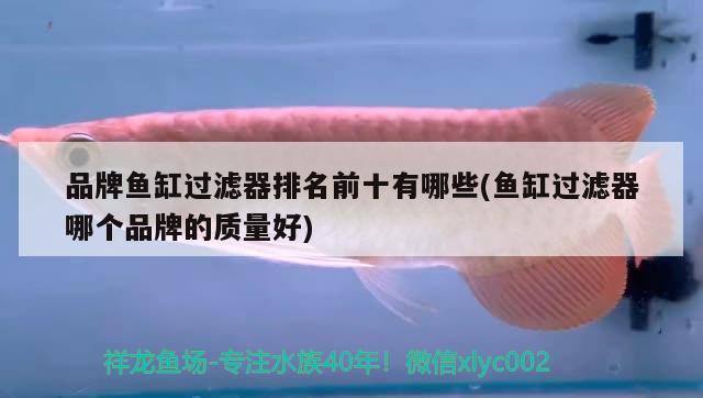 品牌魚缸過(guò)濾器排名前十有哪些(魚缸過(guò)濾器哪個(gè)品牌的質(zhì)量好)