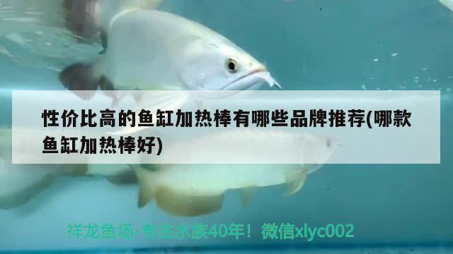 性?xún)r(jià)比高的魚(yú)缸加熱棒有哪些品牌推薦(哪款魚(yú)缸加熱棒好)