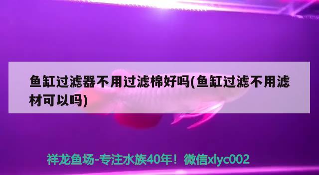 魚缸過濾器不用過濾棉好嗎(魚缸過濾不用濾材可以嗎) 馬拉莫寶石魚