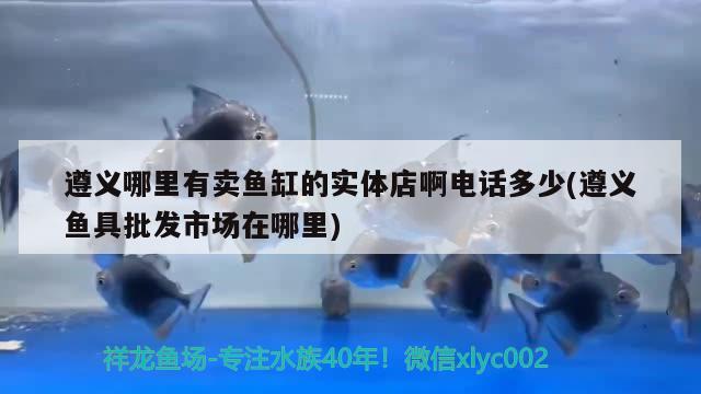 遵義哪里有賣魚缸的實體店啊電話多少(遵義魚具批發(fā)市場在哪里) 廣州祥龍國際水族貿(mào)易