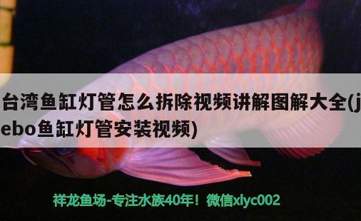 臺(tái)灣魚缸燈管怎么拆除視頻講解圖解大全(jebo魚缸燈管安裝視頻)