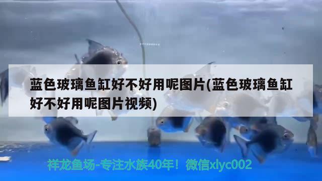 藍(lán)色玻璃魚缸好不好用呢圖片(藍(lán)色玻璃魚缸好不好用呢圖片視頻) 伊巴卡魚 第1張