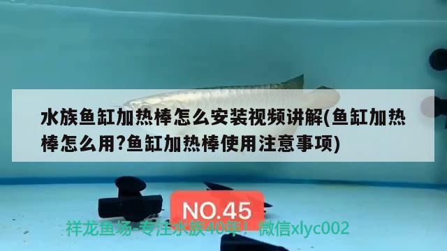 水族魚缸加熱棒怎么安裝視頻講解(魚缸加熱棒怎么用?魚缸加熱棒使用注意事項(xiàng)) 廣州水族器材濾材批發(fā)市場(chǎng)