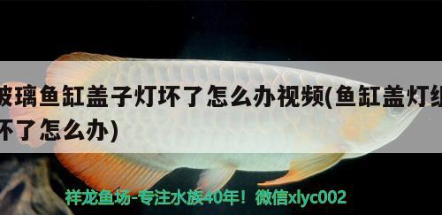 玻璃魚缸蓋子燈壞了怎么辦視頻(魚缸蓋燈組壞了怎么辦)