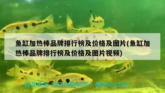 魚缸加熱棒品牌排行榜及價格及圖片(魚缸加熱棒品牌排行榜及價格及圖片視頻)