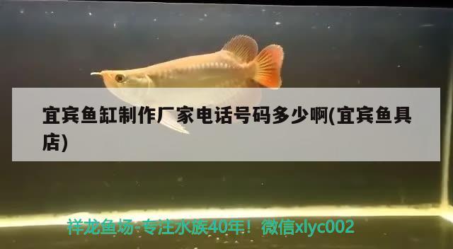 宜賓魚缸制作廠家電話號碼多少啊(宜賓魚具店)