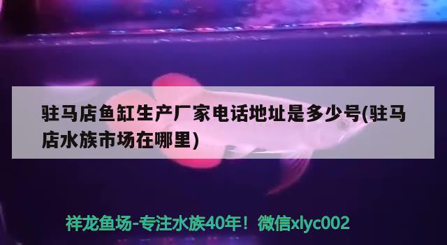 駐馬店魚(yú)缸生產(chǎn)廠家電話地址是多少號(hào)(駐馬店水族市場(chǎng)在哪里) 除藻劑