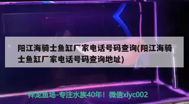 陽江海騎士魚缸廠家電話號碼查詢(陽江海騎士魚缸廠家電話號碼查詢地址)