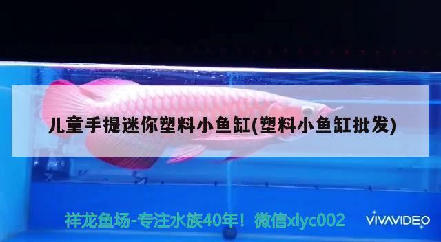 兒童手提迷你塑料小魚缸(塑料小魚缸批發(fā)) 祥龍傳奇品牌魚缸