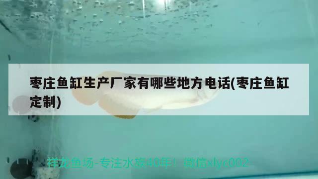 棗莊魚缸生產(chǎn)廠家有哪些地方電話(棗莊魚缸定制)