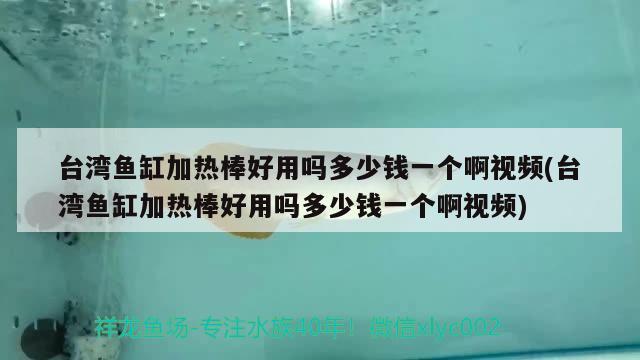 臺灣魚缸加熱棒好用嗎多少錢一個啊視頻(臺灣魚缸加熱棒好用嗎多少錢一個啊視頻) 白子銀版魚