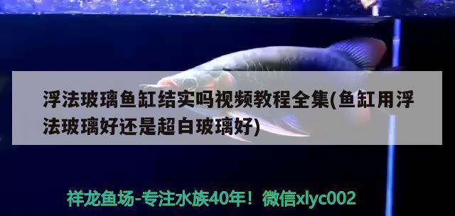 浮法玻璃魚缸結實嗎視頻教程全集(魚缸用浮法玻璃好還是超白玻璃好) 檸檬鯽 第2張