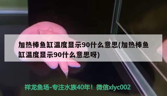 加熱棒魚缸溫度顯示90什么意思(加熱棒魚缸溫度顯示90什么意思呀)