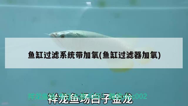 魚缸過濾系統(tǒng)帶加氧(魚缸過濾器加氧)