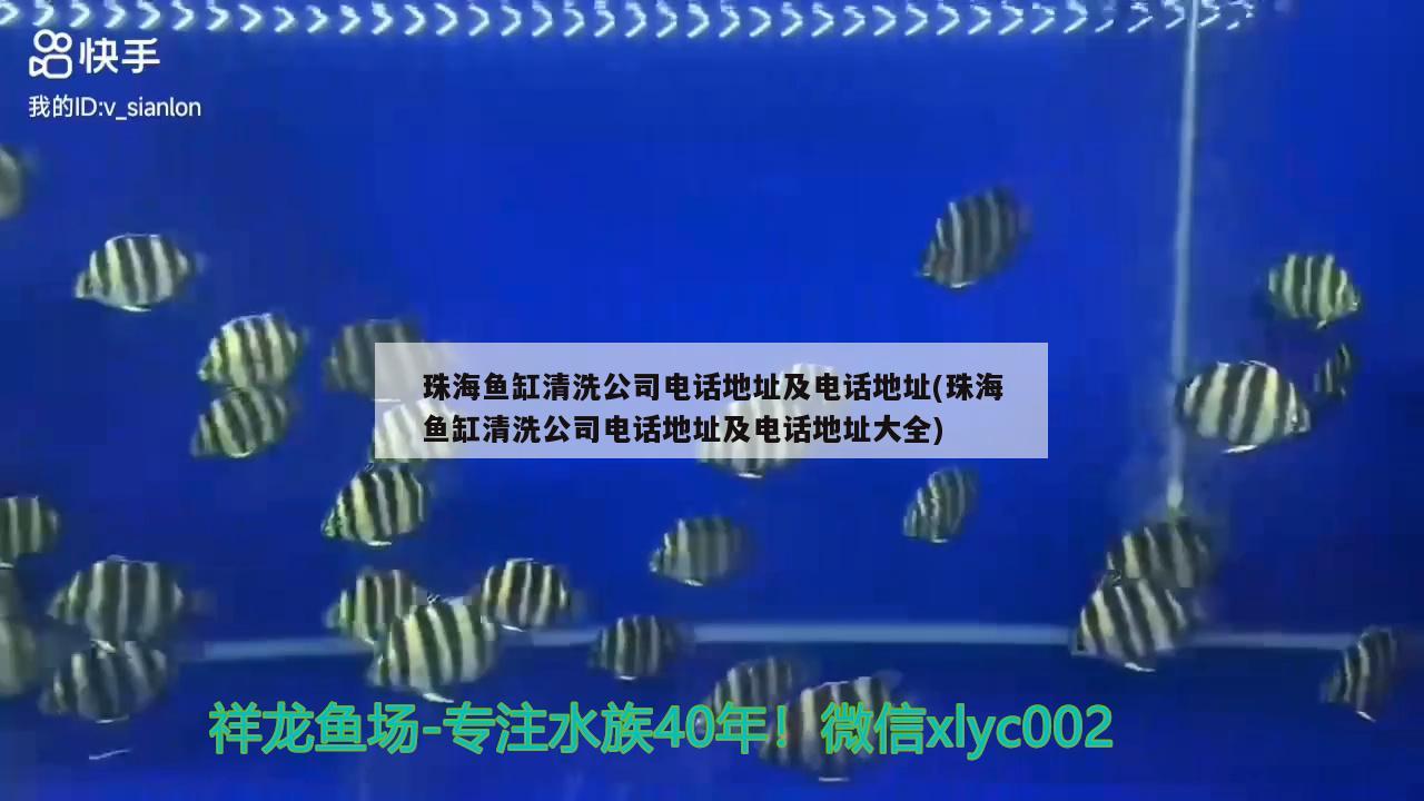 珠海魚缸清洗公司電話地址及電話地址(珠海魚缸清洗公司電話地址及電話地址大全) 丹頂錦鯉魚