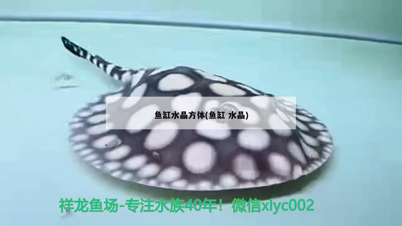 魚缸水晶方體(魚缸水晶)