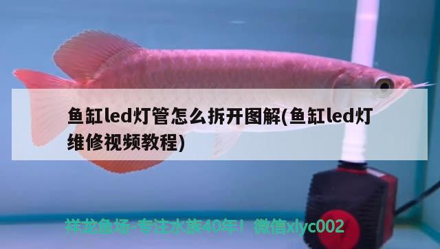 魚缸led燈管怎么拆開圖解(魚缸led燈維修視頻教程) 熱帶魚魚苗批發(fā)