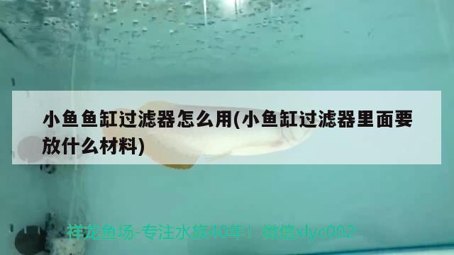 小魚(yú)魚(yú)缸過(guò)濾器怎么用(小魚(yú)缸過(guò)濾器里面要放什么材料)