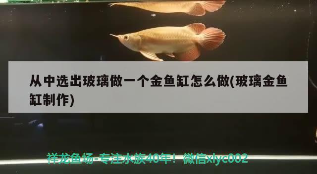 從中選出玻璃做一個金魚缸怎么做(玻璃金魚缸制作) 魟魚百科