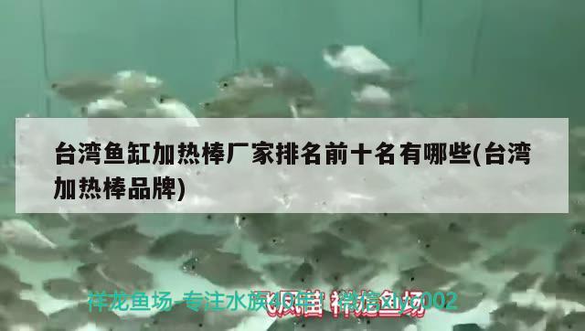 臺灣魚缸加熱棒廠家排名前十名有哪些(臺灣加熱棒品牌) 泰龐海蓮魚