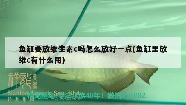 魚(yú)缸要放維生素c嗎怎么放好一點(diǎn)(魚(yú)缸里放維c有什么用)