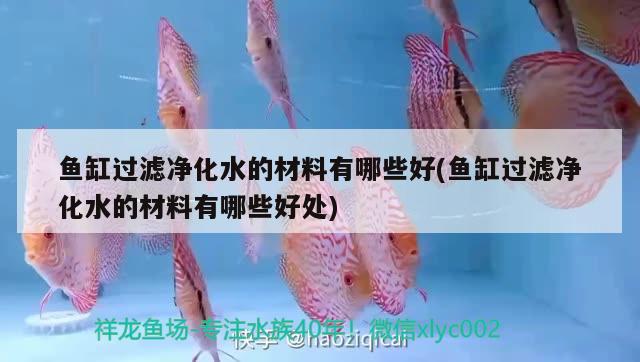 魚(yú)缸過(guò)濾凈化水的材料有哪些好(魚(yú)缸過(guò)濾凈化水的材料有哪些好處) 泰國(guó)虎魚(yú)（泰虎） 第2張