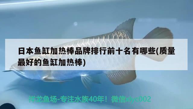 日本魚缸加熱棒品牌排行前十名有哪些(質(zhì)量最好的魚缸加熱棒)