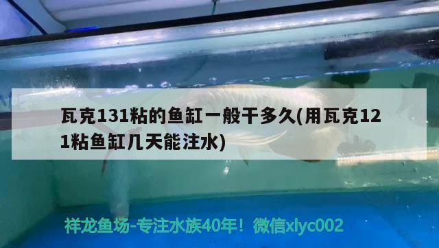 瓦克131粘的魚缸一般干多久(用瓦克121粘魚缸幾天能注水)