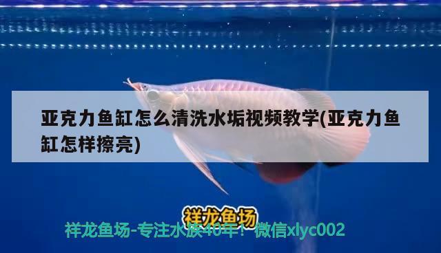 亞克力魚(yú)缸怎么清洗水垢視頻教學(xué)(亞克力魚(yú)缸怎樣擦亮)