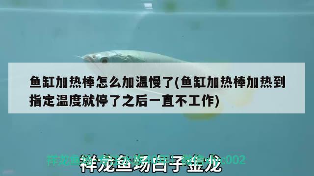 魚缸加熱棒怎么加溫慢了(魚缸加熱棒加熱到指定溫度就停了之后一直不工作)