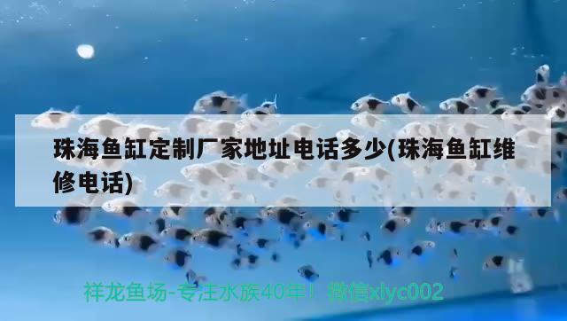 珠海魚缸定制廠家地址電話多少(珠海魚缸維修電話)