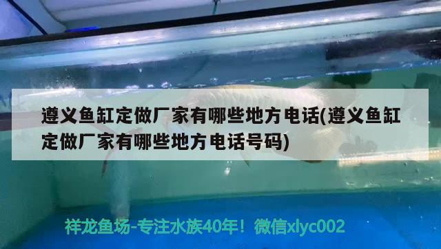 遵義魚缸定做廠家有哪些地方電話(遵義魚缸定做廠家有哪些地方電話號碼) 藍(lán)底過背金龍魚