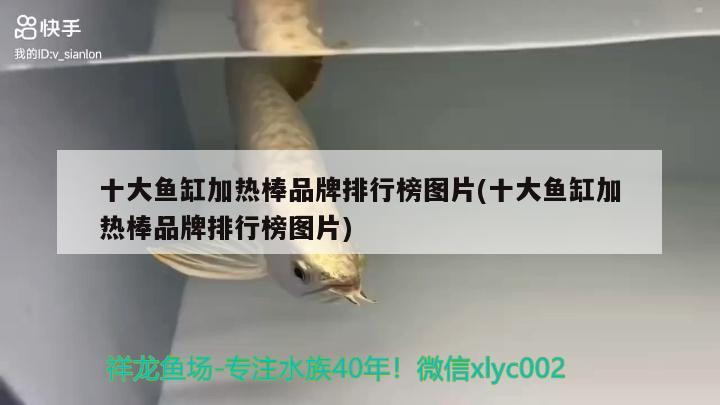 十大魚缸加熱棒品牌排行榜圖片(十大魚缸加熱棒品牌排行榜圖片)