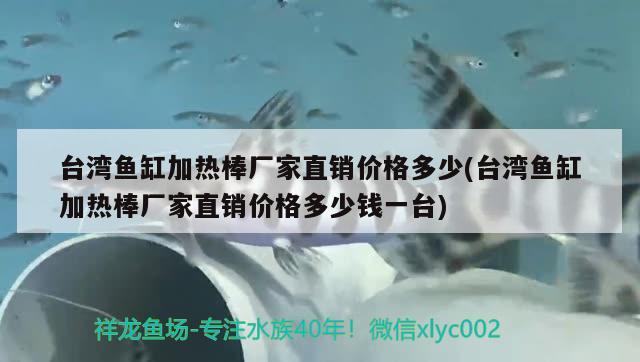 臺灣魚缸加熱棒廠家直銷價格多少(臺灣魚缸加熱棒廠家直銷價格多少錢一臺) 黑金魟魚