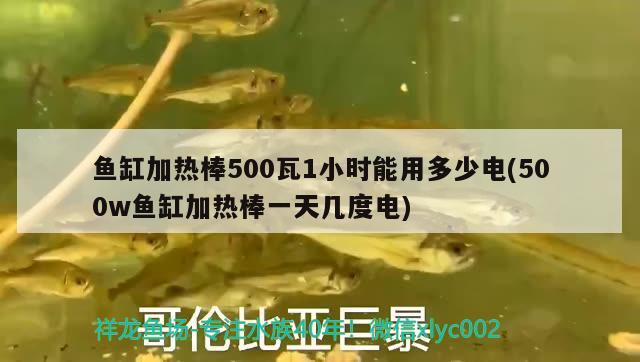 魚缸加熱棒500瓦1小時(shí)能用多少電(500w魚缸加熱棒一天幾度電) 元寶鳳凰魚專用魚糧