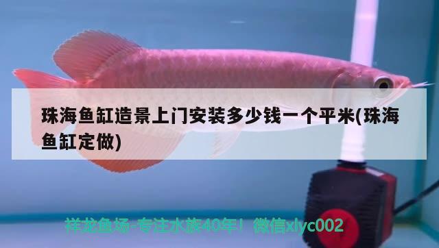 珠海魚缸造景上門安裝多少錢一個(gè)平米(珠海魚缸定做) 福滿鉆魚