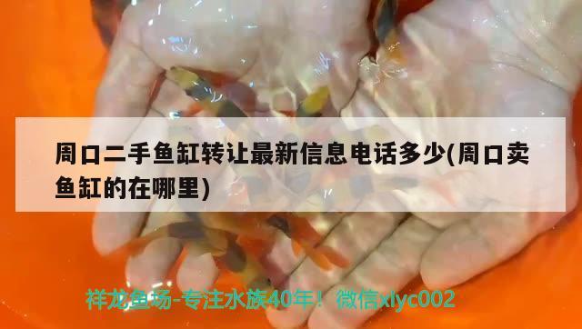 周口二手魚缸轉(zhuǎn)讓最新信息電話多少(周口賣魚缸的在哪里)