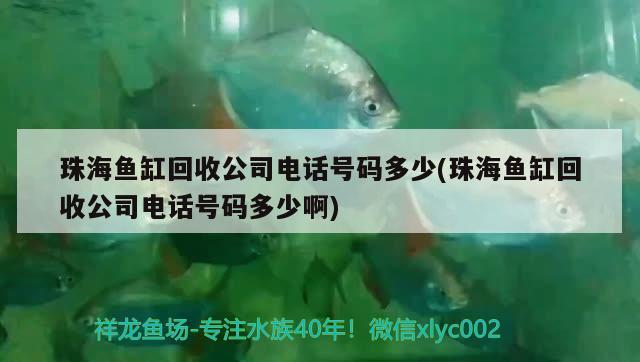 珠海魚缸回收公司電話號(hào)碼多少(珠海魚缸回收公司電話號(hào)碼多少啊)