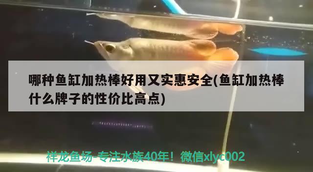 哪種魚缸加熱棒好用又實惠安全(魚缸加熱棒什么牌子的性價比高點)