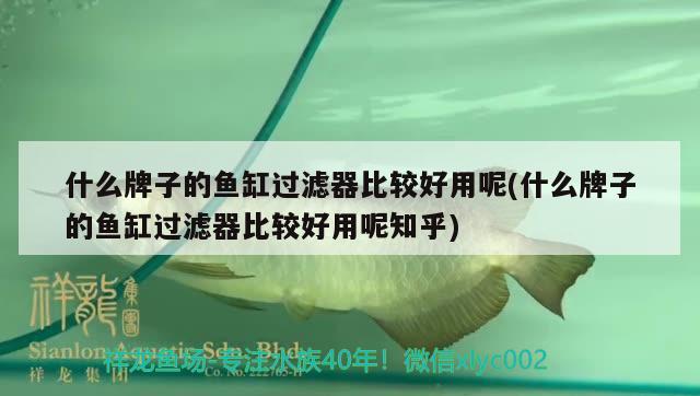 什么牌子的魚缸過濾器比較好用呢(什么牌子的魚缸過濾器比較好用呢知乎) 龍魚芯片掃碼器