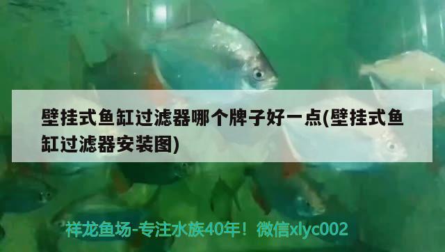 壁掛式魚缸過濾器哪個牌子好一點(壁掛式魚缸過濾器安裝圖)