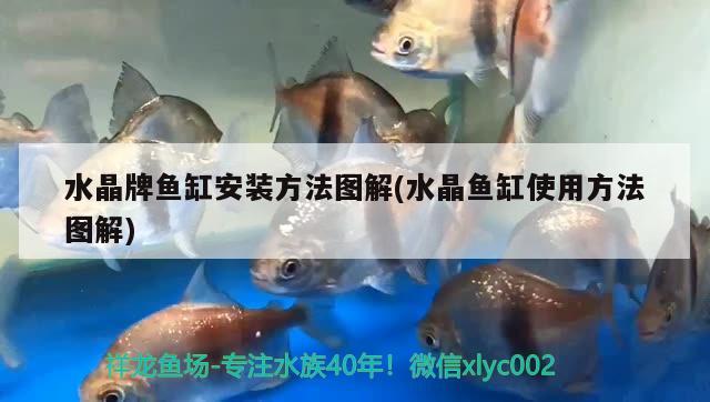 水晶牌魚(yú)缸安裝方法圖解(水晶魚(yú)缸使用方法圖解) 祥龍赫舞紅龍魚(yú) 第2張