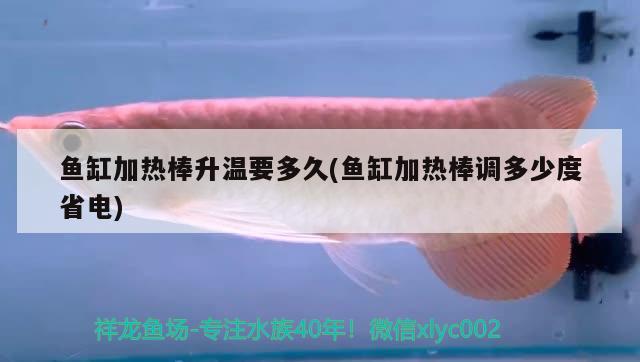 魚缸加熱棒升溫要多久(魚缸加熱棒調(diào)多少度省電)