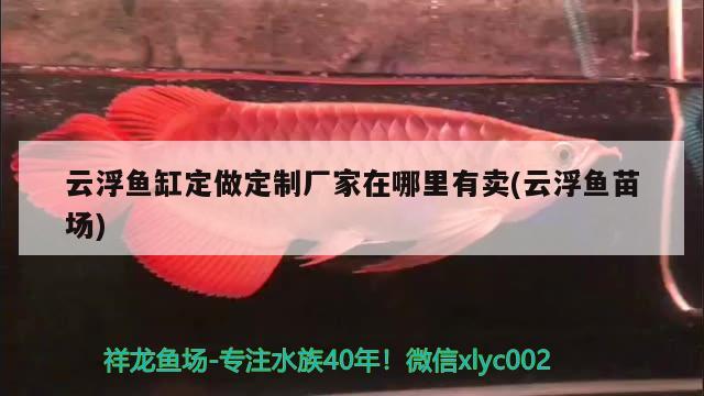 云浮魚缸定做定制廠家在哪里有賣(云浮魚苗場(chǎng))