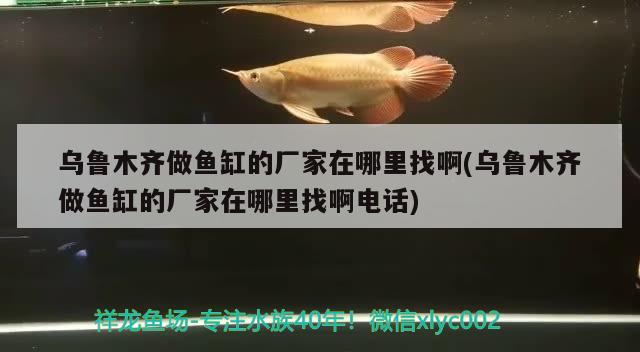 烏魯木齊做魚缸的廠家在哪里找啊(烏魯木齊做魚缸的廠家在哪里找啊電話) 觀賞魚百科 第2張