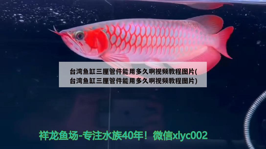 臺(tái)灣魚缸三厘管件能用多久啊視頻教程圖片(臺(tái)灣魚缸三厘管件能用多久啊視頻教程圖片)