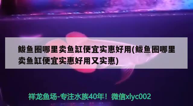 鲅魚圈哪里賣魚缸便宜實惠好用(鲅魚圈哪里賣魚缸便宜實惠好用又實惠) 紅頭利魚