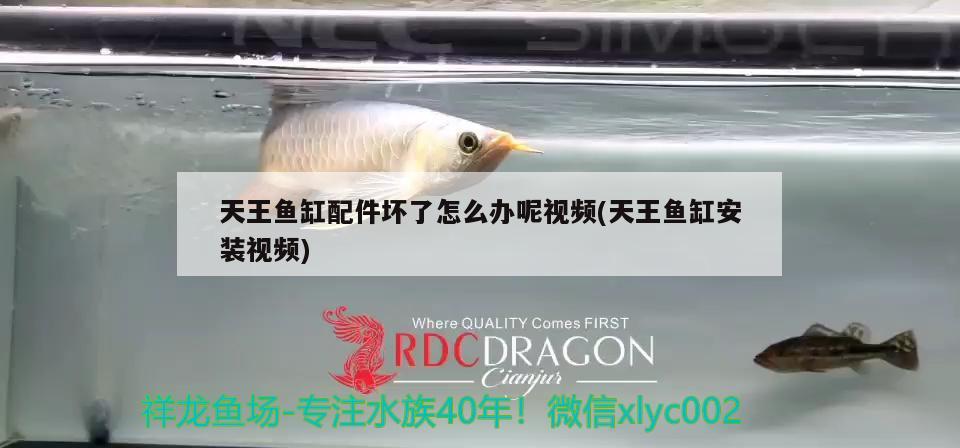 天王魚(yú)缸配件壞了怎么辦呢視頻(天王魚(yú)缸安裝視頻)